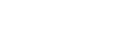 Fidelity